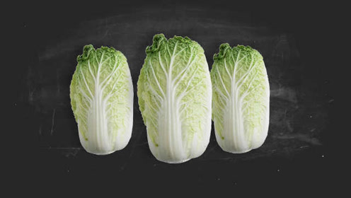 大白菜英文名 腾讯视频