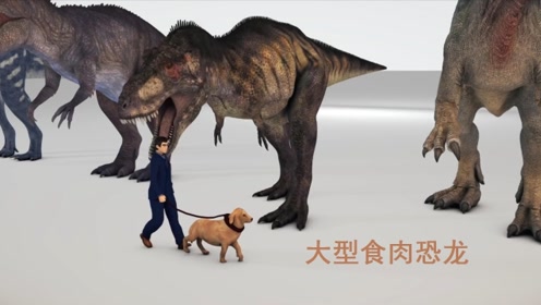 3d版大型食肉恐龙集合,个个都能一口吞人