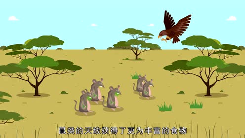 苏科版八年级生物上册第17章 生态系统的稳定