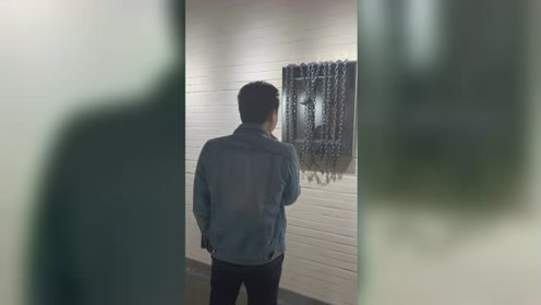 老总也疯狂_疯狂动物城图片