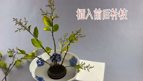 日式花道 腾讯视频