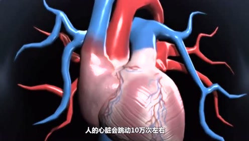 4.3 心脏和血液 教科版五年级科学上册第四单元  健康生活