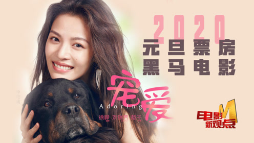 钟楚曦豪七泪目情缘?《宠爱》如何成为元旦票房黑马