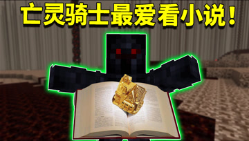 我的世界阿阳歪传53：亡灵骑士也喜欢看小说？阿阳传授独门催更法
