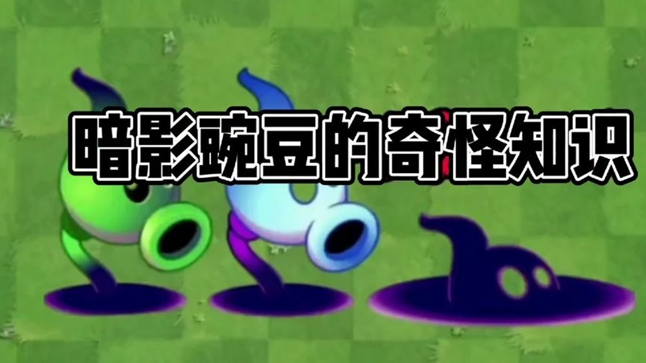 植物大战僵尸:盘点暗影豌豆的奇怪知识,还有哪些你不