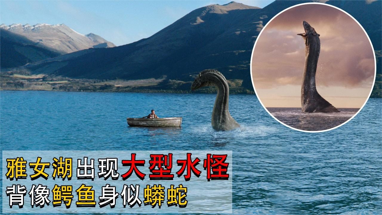 四川雅女湖出现大型"水怪,背像鳄鱼身似蟒蛇,会是什么物种?