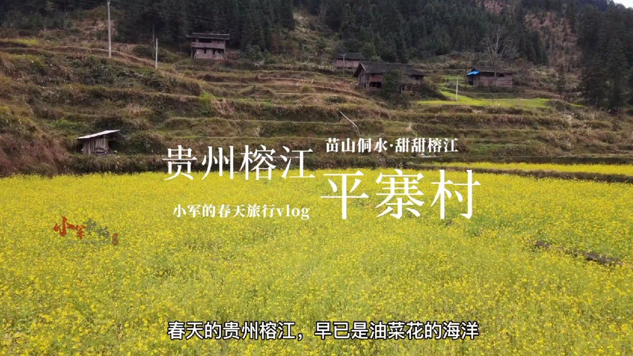 航拍榕江县平永镇的平寨村,村寨两边处处皆是油菜花的清香