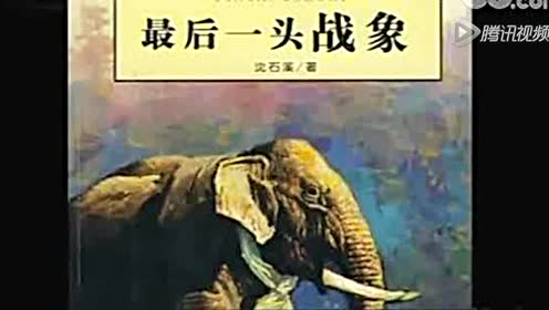 六年級(jí)語(yǔ)文上冊(cè)23 最后一頭戰(zhàn)象
