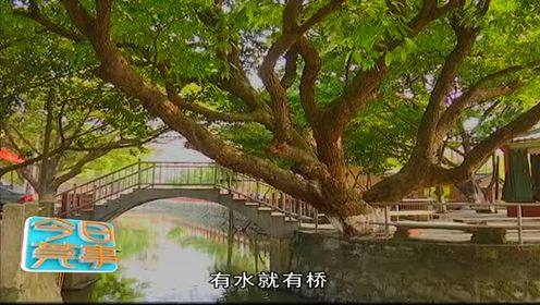 五年級語文上冊8 小橋流水人家(謝冰瑩)