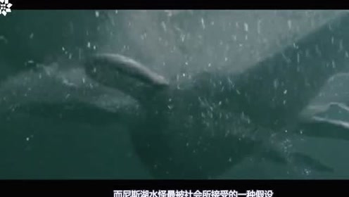 12岁女孩意外拍下