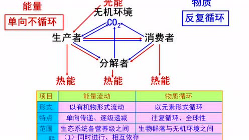 苏教版高中生物必修三第四章 生态系统的稳态