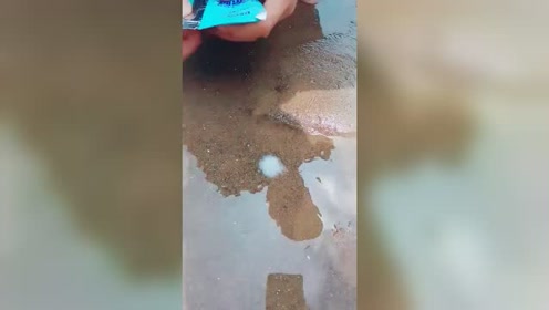 成语蝉喘什么干_成语故事图片