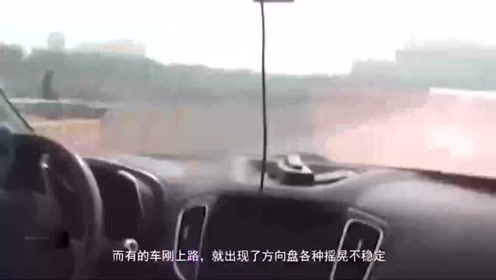 傲什么欺霜成语_古人诚不欺我什么意思