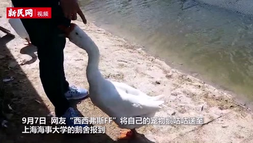 制做精仿中国上海海事大学毕业证 q24197771 腾讯视频