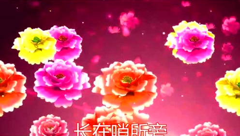 我是一棵小草简谱_我是一棵无名小草简谱(2)