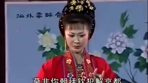 二胡黄梅飘香曲谱_黄梅飘香图片
