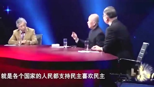 对金灿荣,张维为,陈平等人,大家如何看待他们的言论?