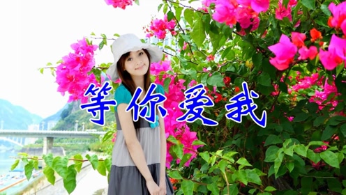 一曲经典歌曲等你爱我音律动感句句含泪