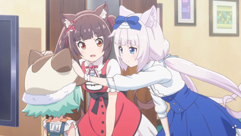守护猫娘绯鞠守护猫娘 腾讯视频