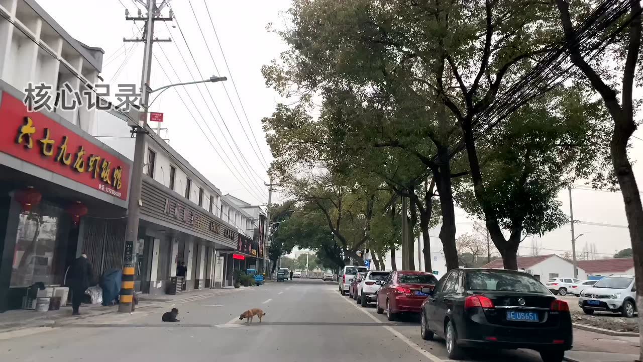 实拍苏州吴江八坼街道,没有高楼大厦,未来会有苏州机场吗?