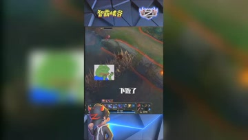 LOL小智：中路刺客大战斗智斗勇互相下饭