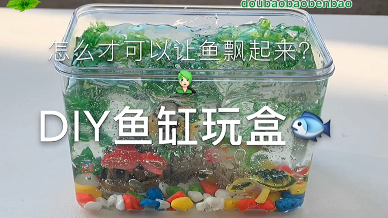 【diy鱼缸玩盒】怎么才可以让鱼不沉下去?