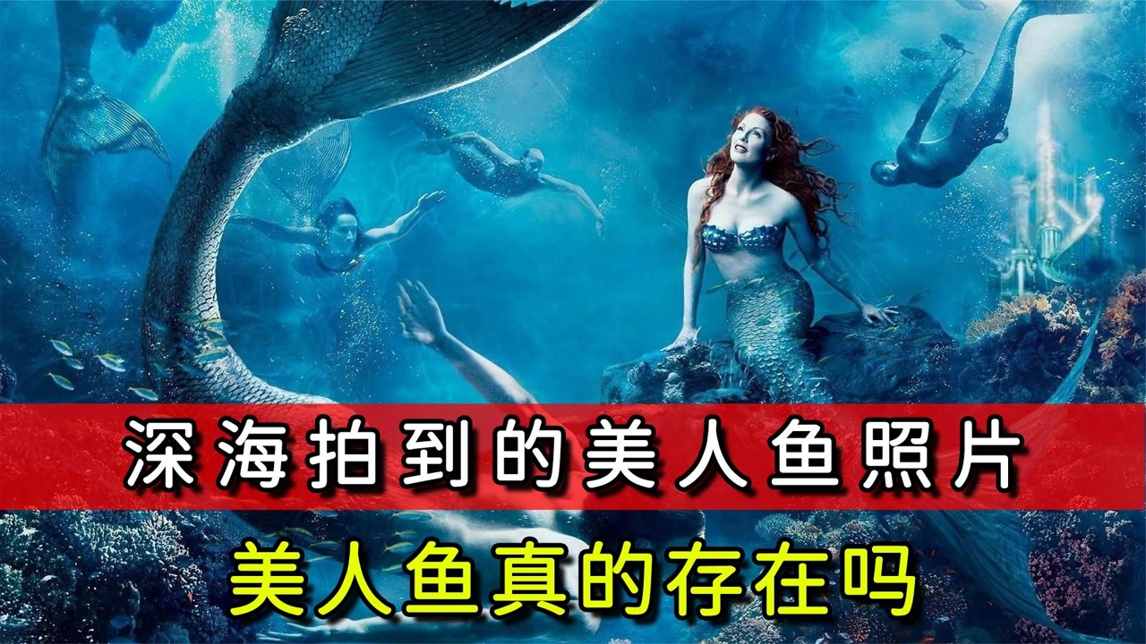 深海1000米拍到的美人鱼照片,到底是