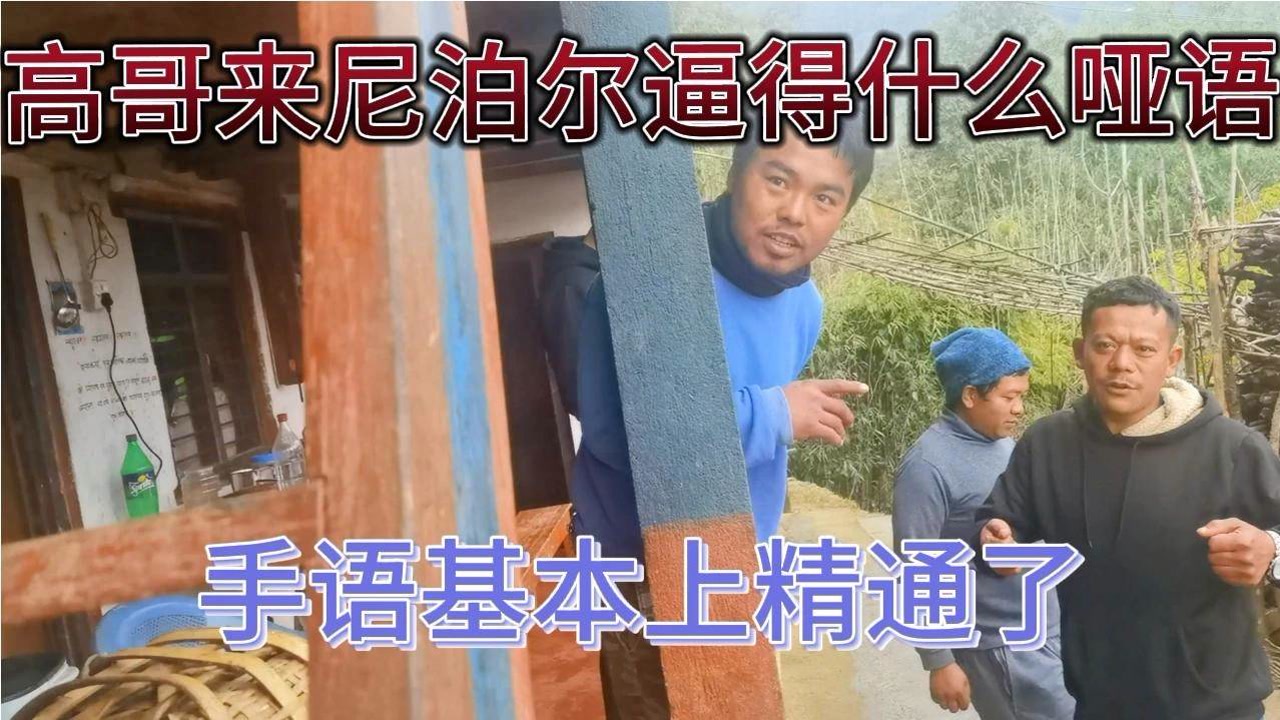 高哥来尼泊尔被逼得什么哑语手语基本上精通了,还有一
