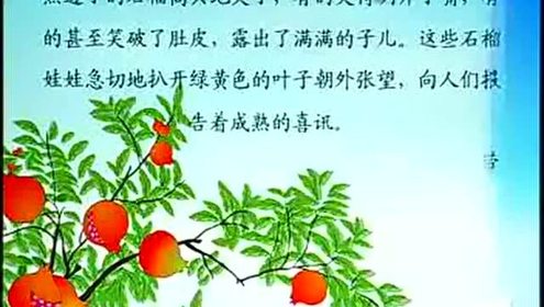 滬教版二年級語文上冊24 石榴