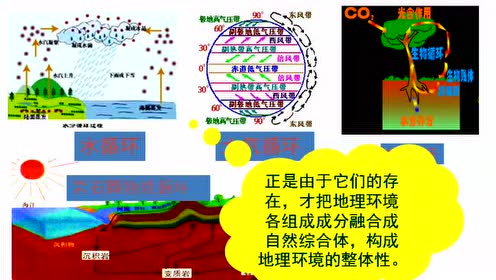 高中地理必修一第五章 自然地理环境的整体性与差异性 第1节 自然地理环境的整体性