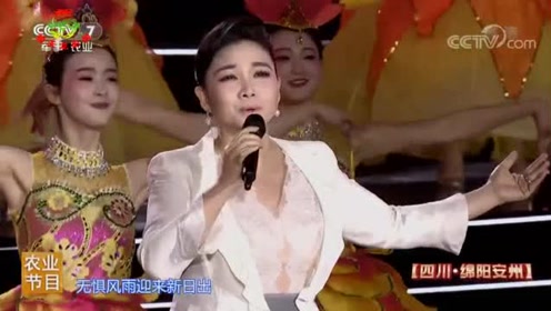 2018全国农民新春联欢会绵阳站:歌舞《不忘初心》王莉