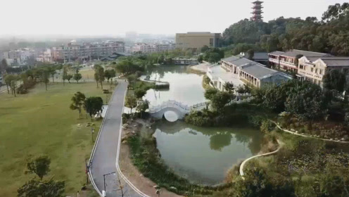 无人机航拍广东东莞寮步的黄旗山,风景秀美的香市公园