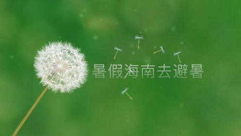 闲云野鹤曲谱_古琴曲闲云野鹤的曲谱