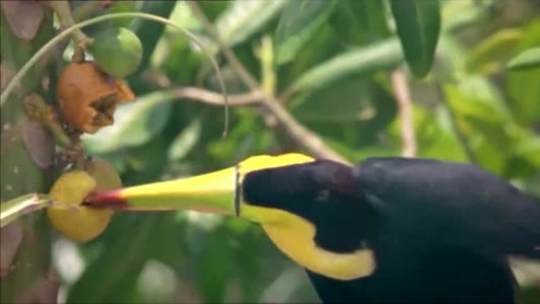 苏科版七年级生物上册 第1单元 我们生活的生物圈第2章 生态系统和生物圈