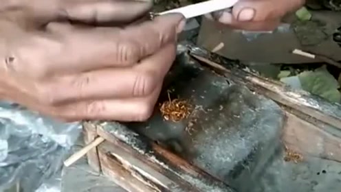 卷烟机 腾讯视频