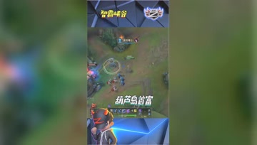 LOL小智：葫芦岛首富在线装B，我一天销量不好可以挣560万