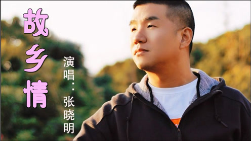 张晓明-《故乡情》dj何鹏版,一首思乡曲,撩动游子心!