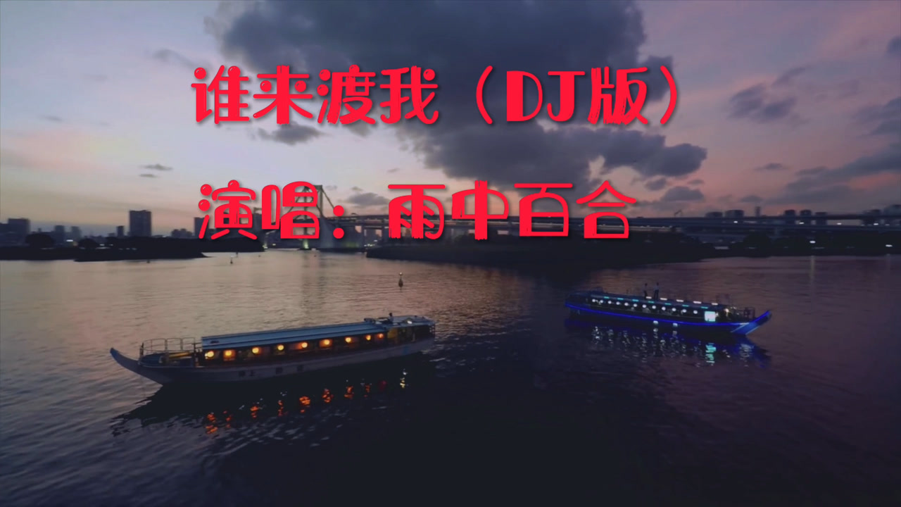 雨中百合演唱的伤感情歌《谁来渡我》超重低音(dj版)
