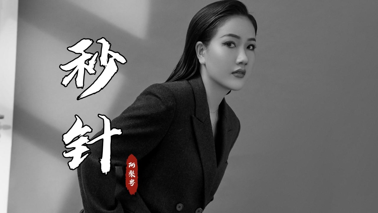 这才是《秒针》真正的dj版 超级好听,阿梨粤优美的歌声 让人沉醉