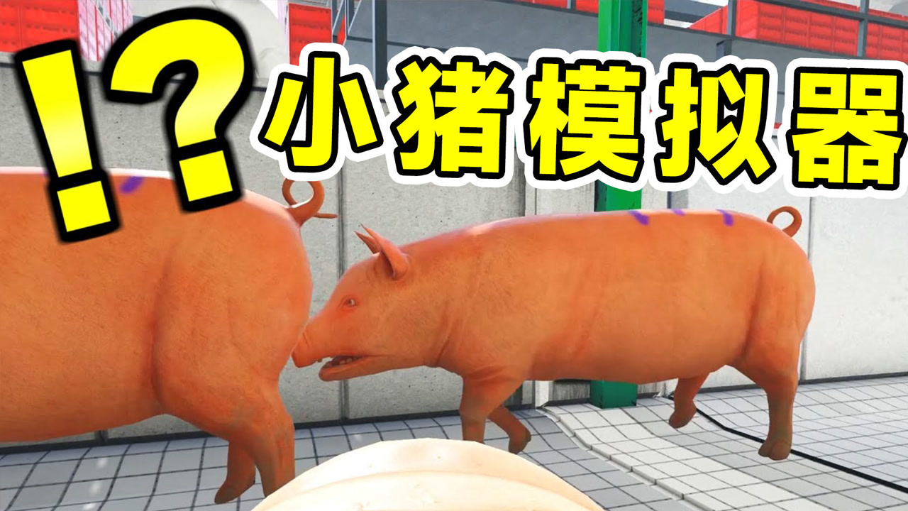 小猪模拟器:真实体验猪的视角,进入屠宰场那一刻,我知道要完了
