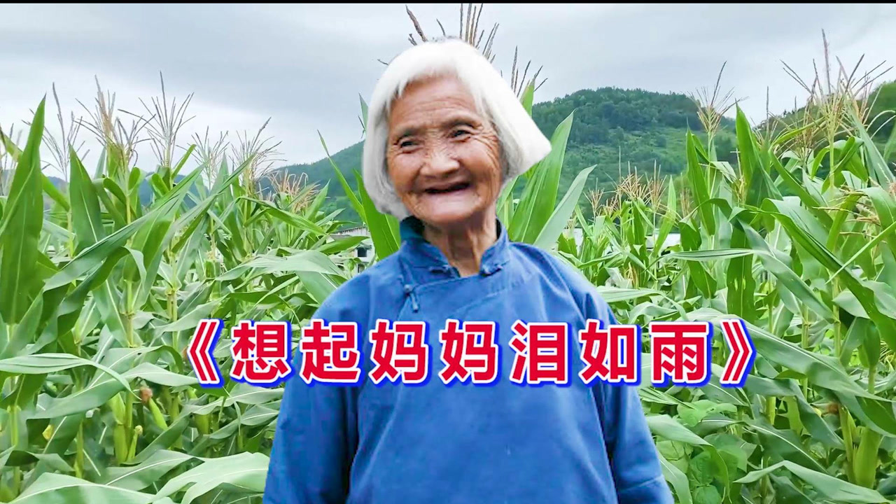 一首《想起妈妈泪如雨》唱哭多少孝子!尽孝不能迟,百善孝为先!
