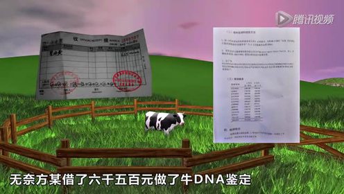 讨牛 腾讯视频