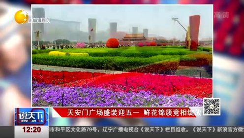 蘇教版四年級語文上冊5 天安門廣場