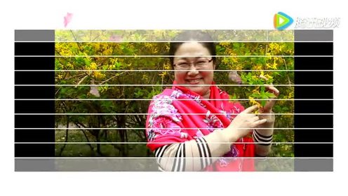 红尘一笑二胡曲谱_滚滚红尘二胡曲谱