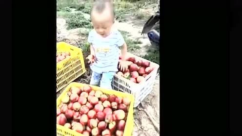 恶搞香肠水果视频，搞笑香肠