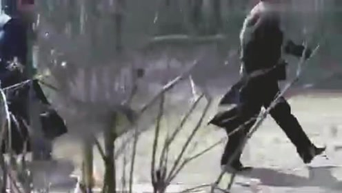 晓人均影级_火影忍者晓组织图片(2)