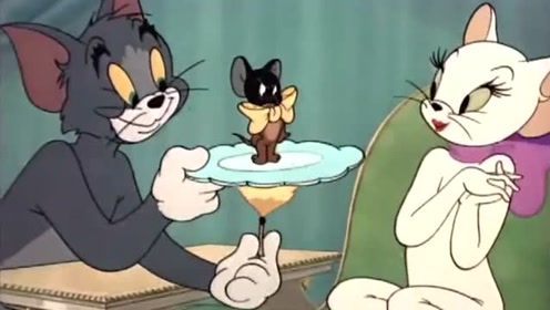 《猫和老鼠》,猫做了一个球给一只漂亮的母猫玩耍,终于有机会了!