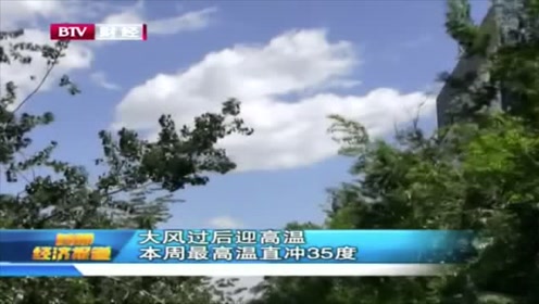 2019首都经济报道_BTV首都经济报道2019的个人频道