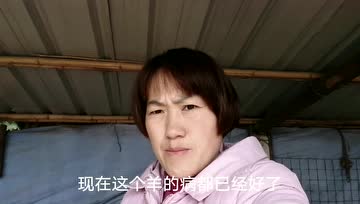 小徐生活短剧，免费观看，品味多彩人生，小徐生活短剧，免费观看，多彩人生尽在其中
