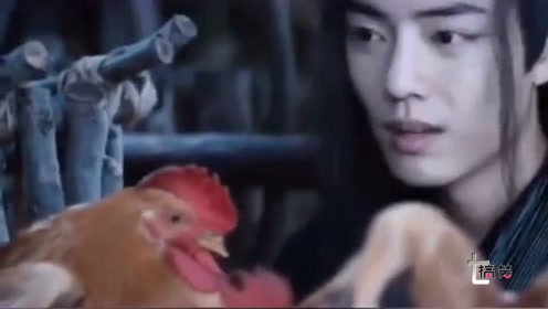晓七短剧，探索现代戏剧的魅力与力量
